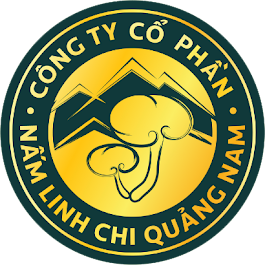 namlinhchiquangnam.vn